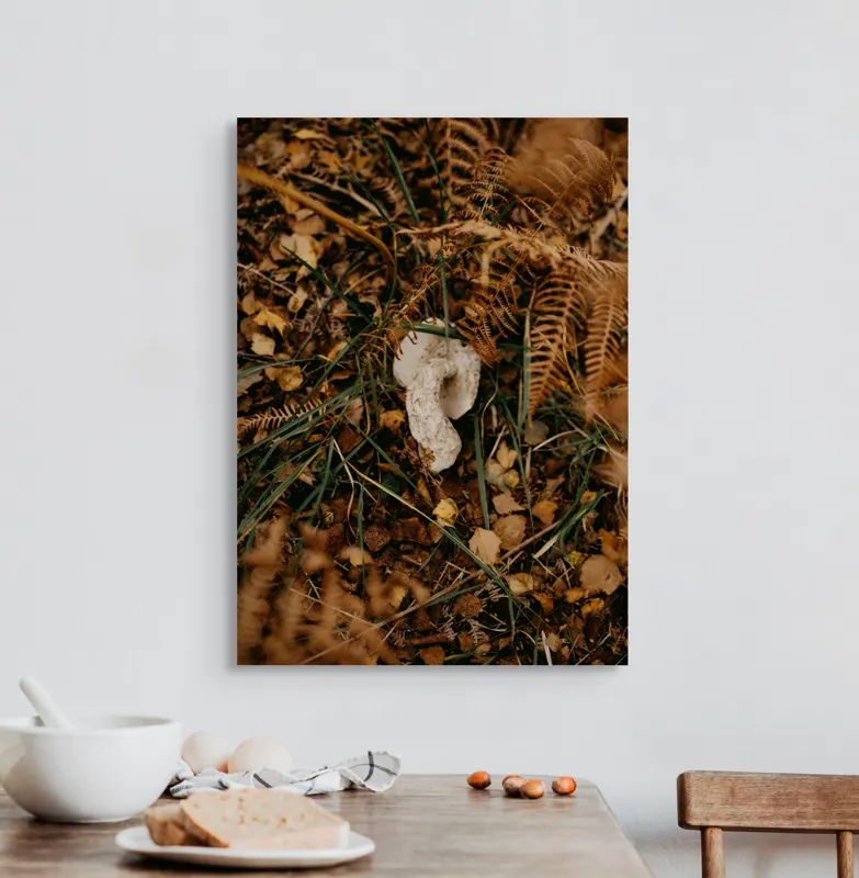 Tablou Canvas, "Ciupercă ascunsă printre frunze uscate", Frunze, Ciupercă, Pământ, Vegetație, Natură, Toamnă, Textură, Organic, Culori, Exterior, 50 x 70 cm – poza 3