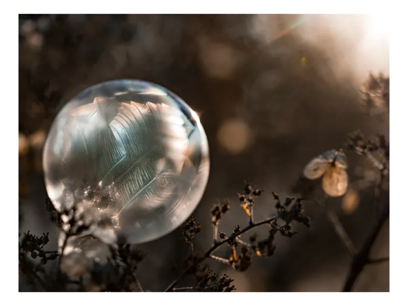 Tablou Canvas, "Sfera magică în natură misterioasă", Creație, Fragilitate, Natură, Lumină, Reflecție, Delicatețe, Îngheț, Frumusețe, Efemeritate, Strălucire, 50 x 50 cm