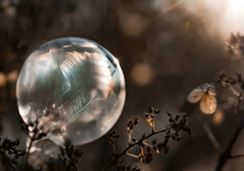 Tablou Canvas, "Sfera magică în natură misterioasă", Creație, Fragilitate, Natură, Lumină, Reflecție, Delicatețe, Îngheț, Frumusețe, Efemeritate, Strălucire, 100 x 70 cm – poza 2