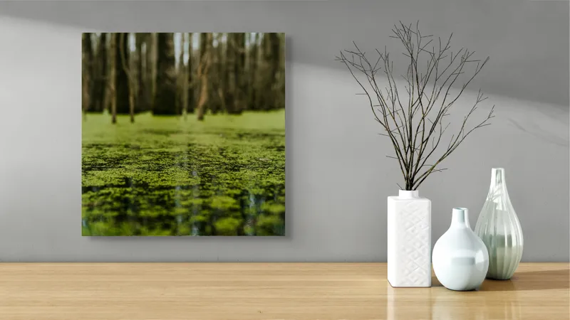 Tablou Canvas, "Reflecții verzi într-o pădure mlăștinoasă", Marais, Mousse, Calme, Mystère, Nature, Reflet, Vert, Tranquillité, Profondeur, 50 x 50 cm – poza 3
