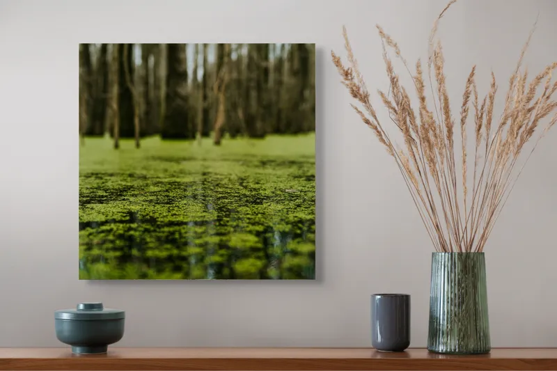 Tablou Canvas, "Reflecții verzi într-o pădure mlăștinoasă", Marais, Mousse, Calme, Mystère, Nature, Reflet, Vert, Tranquillité, Profondeur, 50 x 50 cm – poza 4