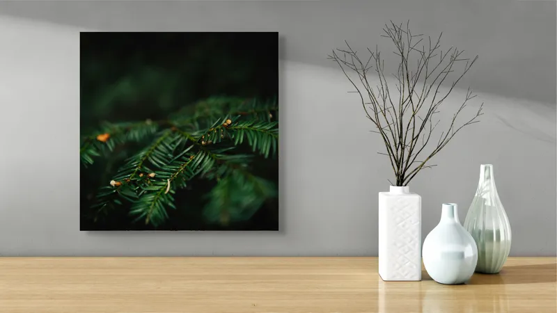 Tablou Canvas, "Frumusețea tainică a pădurii verzi", Ace, Verde, Natură, Frunziș, Rășinoase, Detaliu, Întunecat, Ramură, Elegant, Subtil, Calm, Vegetație., 50 x 50 cm – poza 3