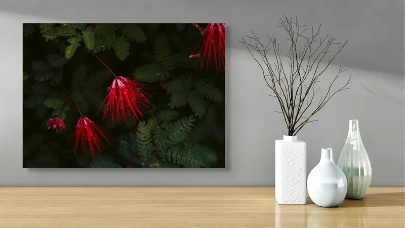 Tablou Canvas, "Flori roșii în roua dimineții", Roșu, Frunze, Petale, Plante, Natură, Umiditate, Verde, Contrast, Eleganță, 70 x 50 cm – poza 3