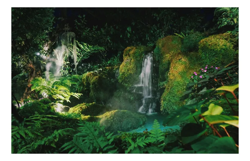 Tablou Canvas, "Pădurea fermecată cu cascade luminoase", Cascade, Vegetație, Lumină, Seninătate, Natură, Muschi, Apă, Frunziș, Flori, Pădure, 54 x 39 cm