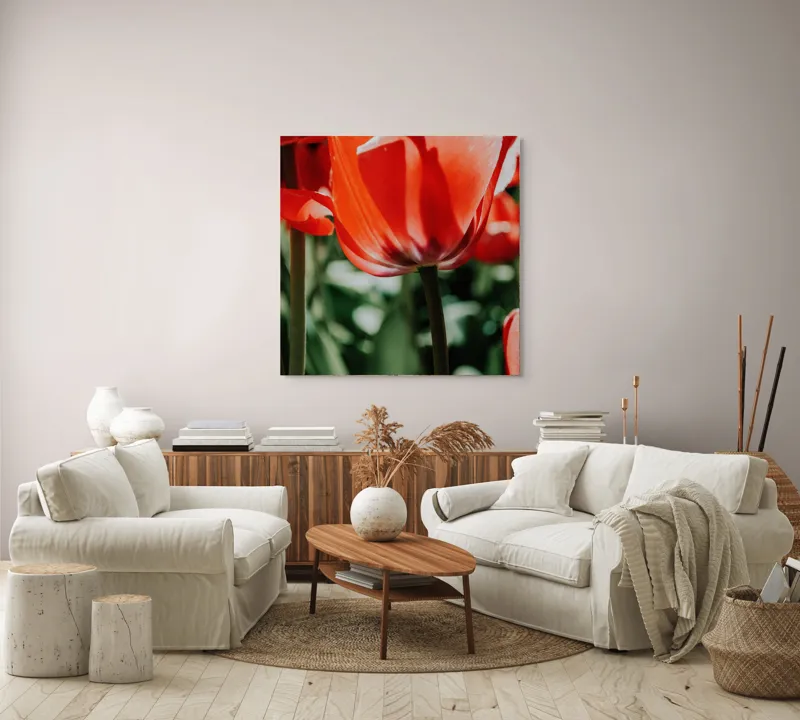 Tablou Canvas, "Simfonia lalelelor roșii în soare", Roșu, Vibrant, Petale, Delicat, Lumină, Contrast, Natură, Frumusețe, 100 x 100 cm – poza 3
