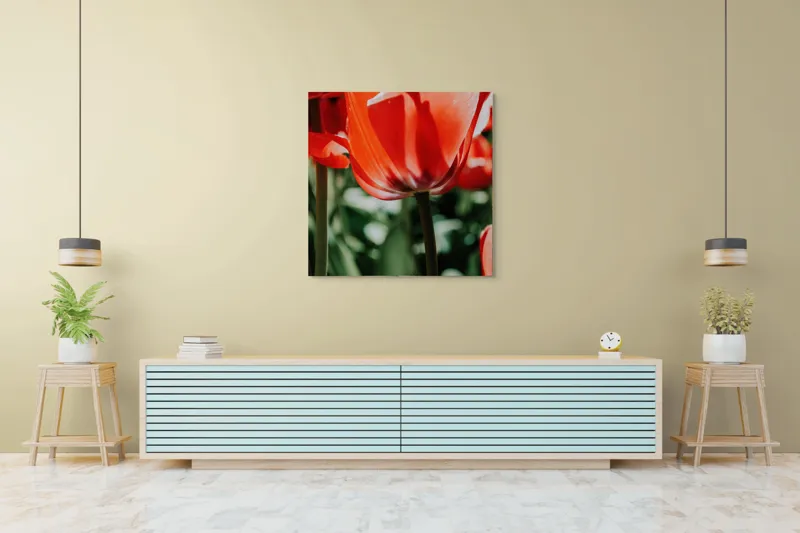 Tablou Canvas, "Simfonia lalelelor roșii în soare", Roșu, Vibrant, Petale, Delicat, Lumină, Contrast, Natură, Frumusețe, 100 x 100 cm – poza 5