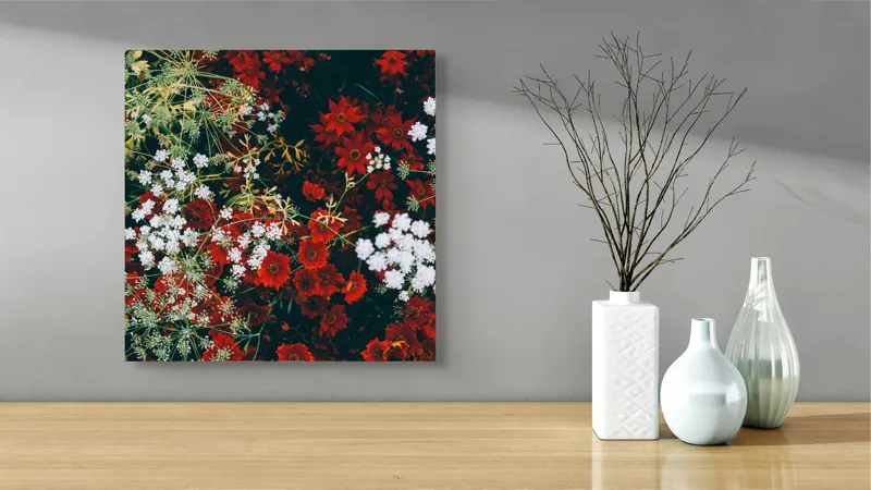 Tablou Canvas, "Flori contrastante într-un covor de culori", Flori, Roșu, Alb, Contrast, Natură, Textură, Grădină, Viu, Petale, Frumusețe, 50 x 50 cm – poza 3