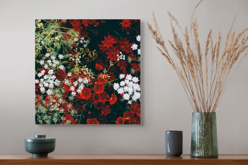 Tablou Canvas, "Flori contrastante într-un covor de culori", Flori, Roșu, Alb, Contrast, Natură, Textură, Grădină, Viu, Petale, Frumusețe, 50 x 50 cm – poza 4