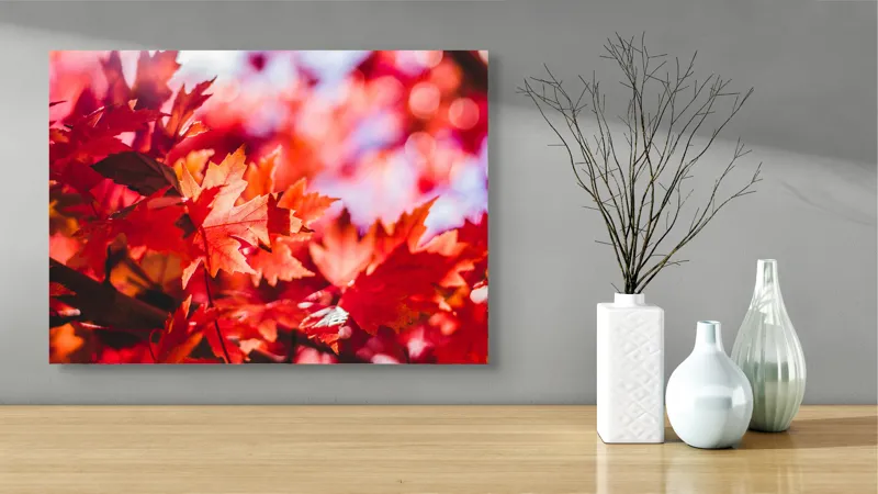 Tablou Canvas, "Strălucirea frunzelor de toamnă târzie", Frunze, Roșii, Toamnă, Lumină, Contrast, Ramuri, Natură, Vibrant, Strălucire, Fundal., 70 x 50 cm – poza 3
