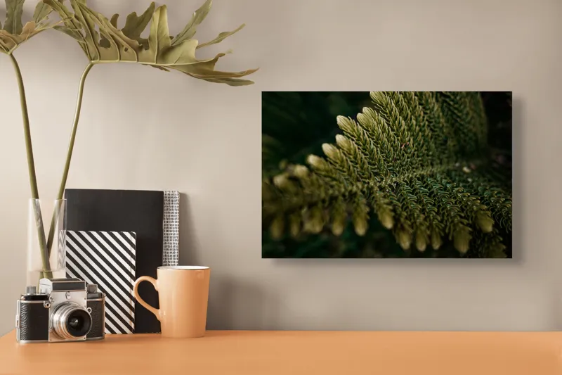Tablou Canvas, "Frunzele tăcute ale pădurii verzi", Frunze, Verde, Textură, Natură, Detaliu, Frumusețe, Simetrie, Linii, Organic, Misterios, 39 x 26 cm – poza 3