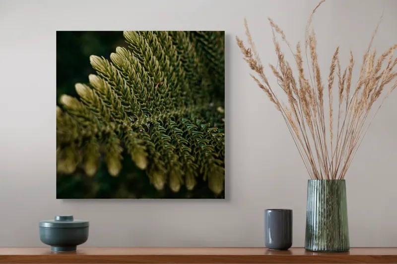 Tablou Canvas, "Frunzele tăcute ale pădurii verzi", Frunze, Verde, Textură, Natură, Detaliu, Frumusețe, Simetrie, Linii, Organic, Misterios, 50 x 50 cm – poza 4
