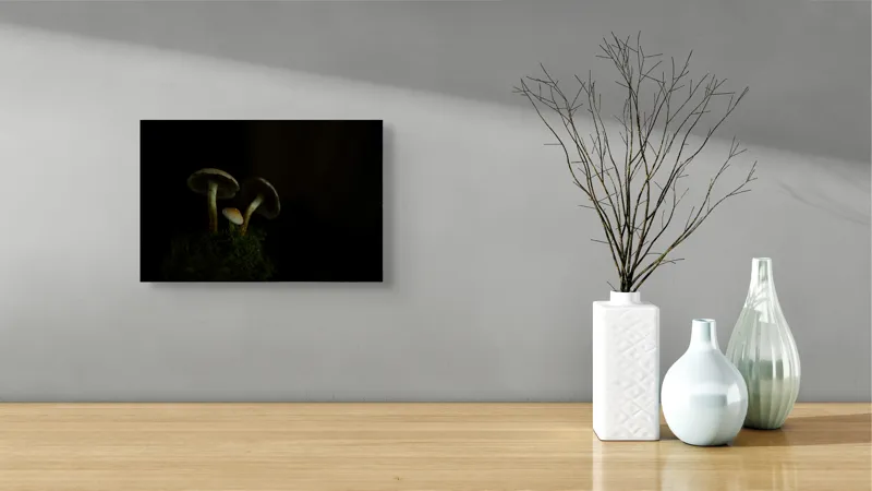 Tablou Canvas, "Ciupercile în întunericul pădurii", Ciuperci, Întuneric, Mușchi, Umbre, Mister, Taină, Natură, Liniște, 39 x 26 cm – poza 8