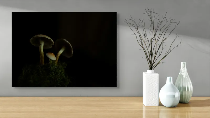 Tablou Canvas, "Ciupercile în întunericul pădurii", Ciuperci, Întuneric, Mușchi, Umbre, Mister, Taină, Natură, Liniște, 70 x 50 cm – poza 3