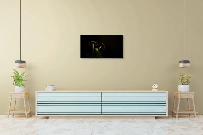 Tablou Canvas, "Ciupercile în întunericul pădurii", Ciuperci, Întuneric, Mușchi, Umbre, Mister, Taină, Natură, Liniște, 90 x 50 cm – poza 5