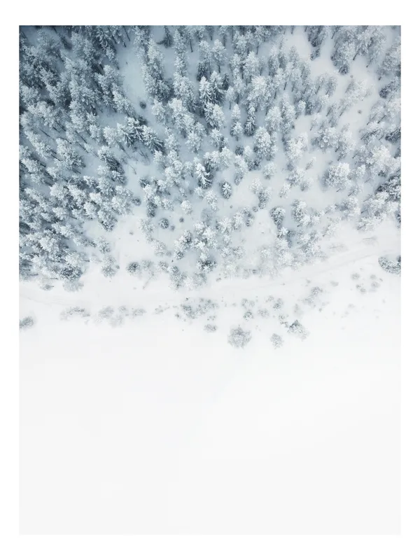 Tablou Canvas, "Zăpadă veșnică peste pădurea albă", Copaci, Zăpadă, Iarnă, Pădure, Alb, Frig, Tăcere, Natura, Vedere, Aeriană, 50 x 90 cm