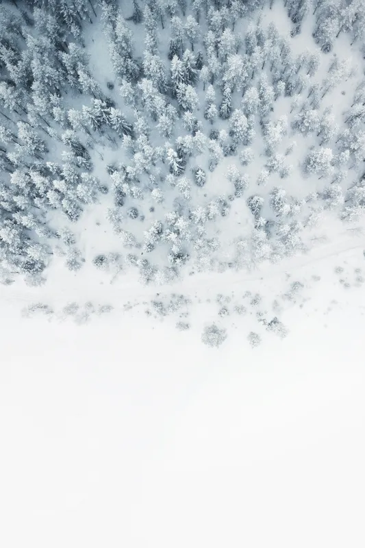 Tablou Canvas, "Zăpadă veșnică peste pădurea albă", Copaci, Zăpadă, Iarnă, Pădure, Alb, Frig, Tăcere, Natura, Vedere, Aeriană, 100 x 150 cm – poza 2