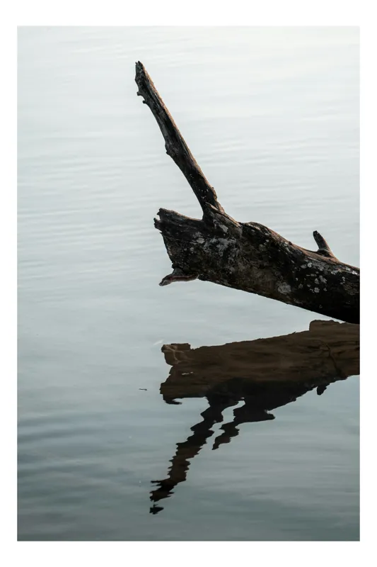 Tablou Canvas, "Umbra tăcută a copacului căzut", Ramură, Apă, Reflecție, Tranquilitate, Natură, Minimalism., 39 x 54 cm