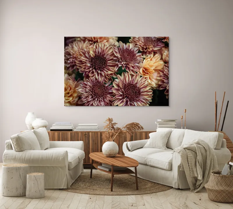 Tablou Canvas, "Petale de crizanteme în dimineață târzie", Flori, Crizanteme, Petale, Colorate, Textură, Natură, Frumusețe, Detalii, 150 x 100 cm – poza 3
