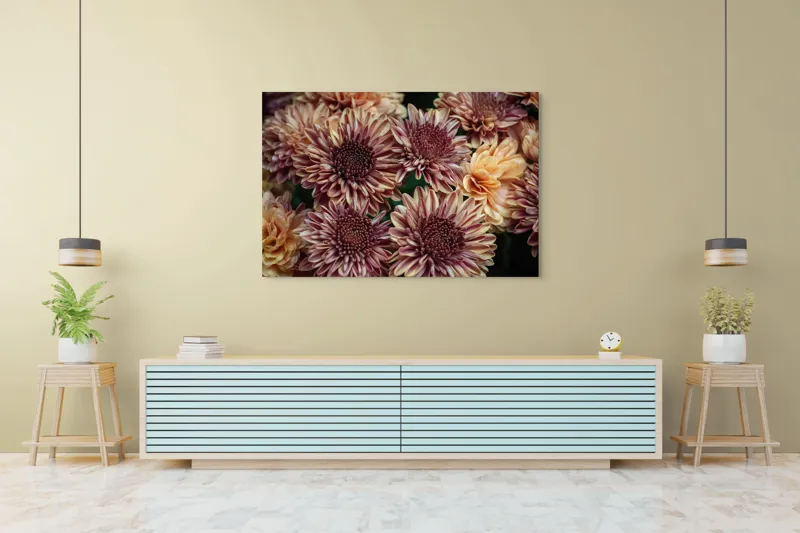 Tablou Canvas, "Petale de crizanteme în dimineață târzie", Flori, Crizanteme, Petale, Colorate, Textură, Natură, Frumusețe, Detalii, 150 x 100 cm – poza 6
