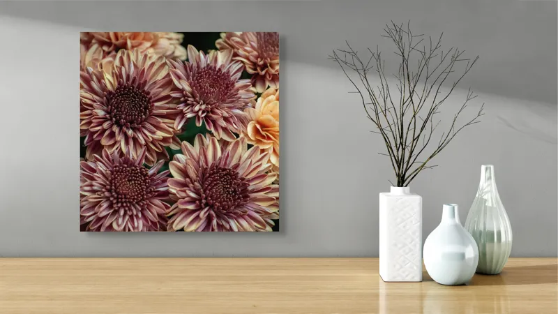 Tablou Canvas, "Petale de crizanteme în dimineață târzie", Flori, Crizanteme, Petale, Colorate, Textură, Natură, Frumusețe, Detalii, 50 x 50 cm – poza 3