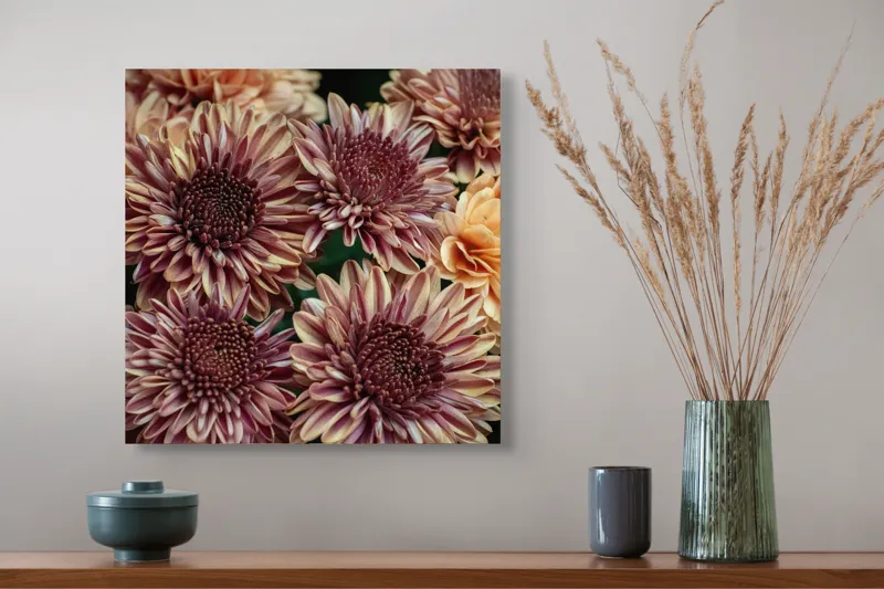 Tablou Canvas, "Petale de crizanteme în dimineață târzie", Flori, Crizanteme, Petale, Colorate, Textură, Natură, Frumusețe, Detalii, 50 x 50 cm – poza 4