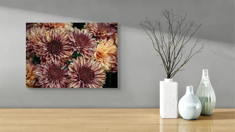 Tablou Canvas, "Petale de crizanteme în dimineață târzie", Flori, Crizanteme, Petale, Colorate, Textură, Natură, Frumusețe, Detalii, 54 x 39 cm – poza 3