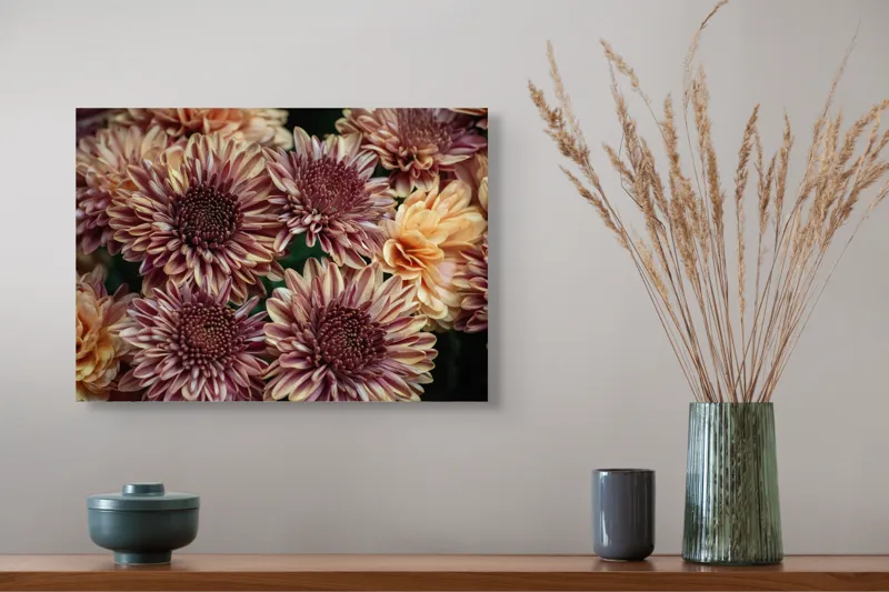 Tablou Canvas, "Petale de crizanteme în dimineață târzie", Flori, Crizanteme, Petale, Colorate, Textură, Natură, Frumusețe, Detalii, 54 x 39 cm – poza 4