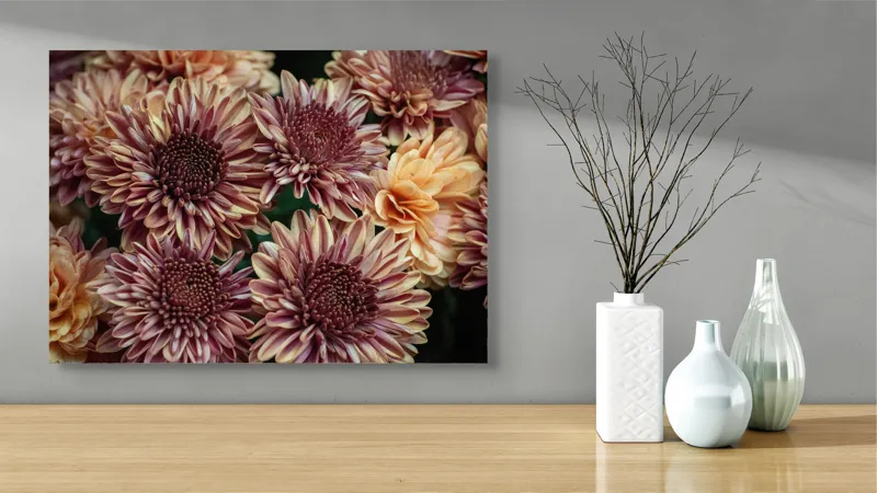 Tablou Canvas, "Petale de crizanteme în dimineață târzie", Flori, Crizanteme, Petale, Colorate, Textură, Natură, Frumusețe, Detalii, 70 x 50 cm – poza 3