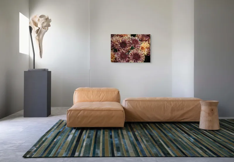 Tablou Canvas, "Petale de crizanteme în dimineață târzie", Flori, Crizanteme, Petale, Colorate, Textură, Natură, Frumusețe, Detalii, 70 x 50 cm – poza 8