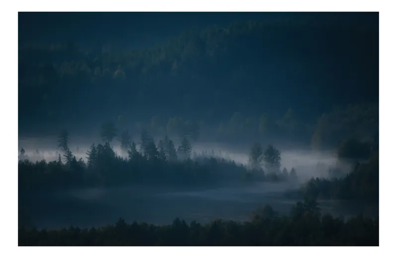 Tablou Canvas, "Ceața misteriosă din pădurea adâncă", Natură, Ceață, Pădure, Liniște, Mister, Răsărit, Umbre, Verdeață, Peisaj, Calm., 54 x 39 cm
