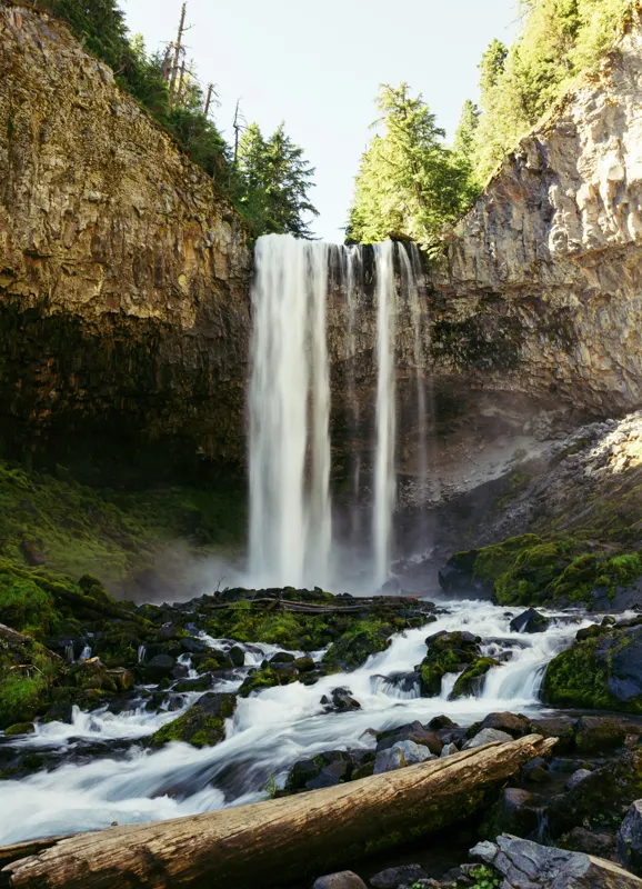 Tablou Canvas, "Cascada în inima pădurii verzi", Cascadă, Stânci, Apă, Pădure, Roci, Bușteni, Vegetație, Natură, Spectacol, Lumină, 39 x 54 cm – poza 2