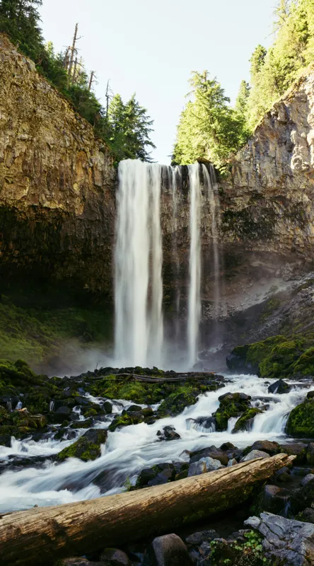 Tablou Canvas, "Cascada în inima pădurii verzi", Cascadă, Stânci, Apă, Pădure, Roci, Bușteni, Vegetație, Natură, Spectacol, Lumină, 50 x 90 cm – poza 2