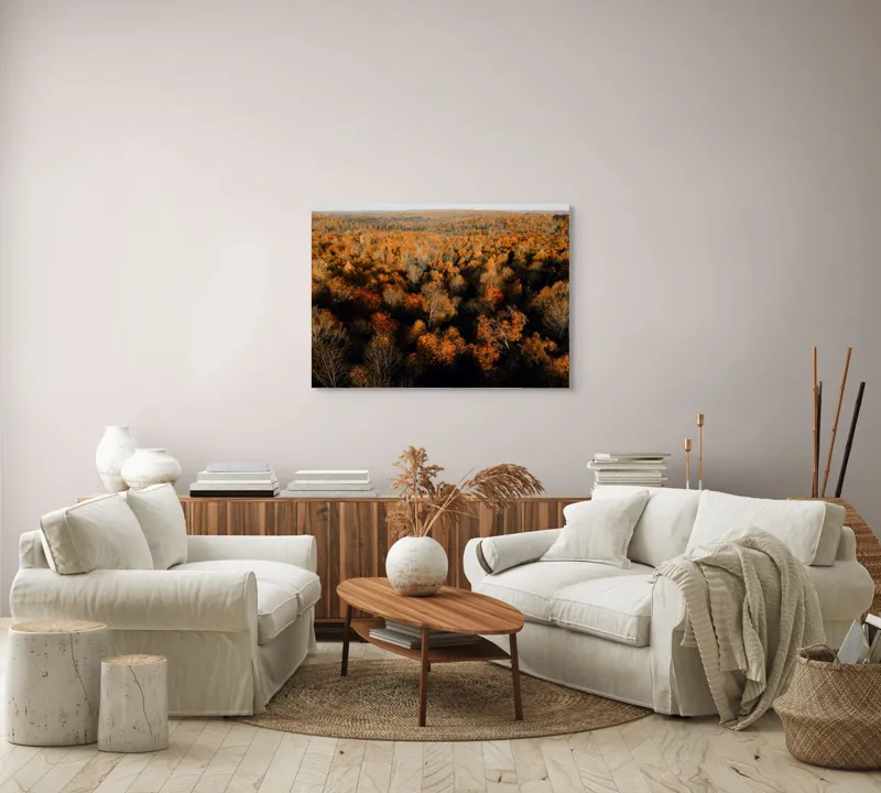 Tablou Canvas, "Pădurea în straie de toamnă", Toamnă, Pădure, Culori, Frunze, Arbori, Peisaj, Natură, Apus, Lumină, Umbră, 100 x 70 cm – poza 3