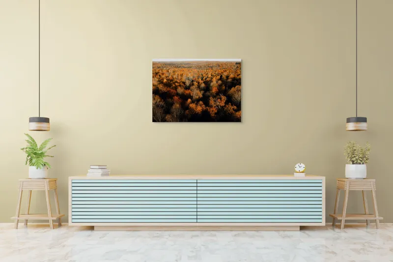 Tablou Canvas, "Pădurea în straie de toamnă", Toamnă, Pădure, Culori, Frunze, Arbori, Peisaj, Natură, Apus, Lumină, Umbră, 100 x 70 cm – poza 4