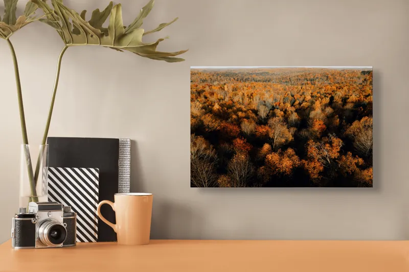 Tablou Canvas, "Pădurea în straie de toamnă", Toamnă, Pădure, Culori, Frunze, Arbori, Peisaj, Natură, Apus, Lumină, Umbră, 39 x 26 cm – poza 3