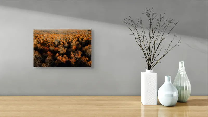 Tablou Canvas, "Pădurea în straie de toamnă", Toamnă, Pădure, Culori, Frunze, Arbori, Peisaj, Natură, Apus, Lumină, Umbră, 39 x 26 cm – poza 8
