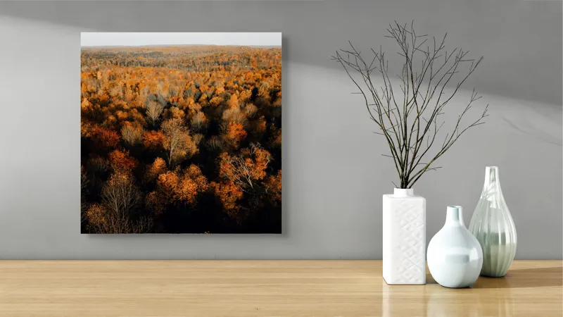 Tablou Canvas, "Pădurea în straie de toamnă", Toamnă, Pădure, Culori, Frunze, Arbori, Peisaj, Natură, Apus, Lumină, Umbră, 50 x 50 cm – poza 3