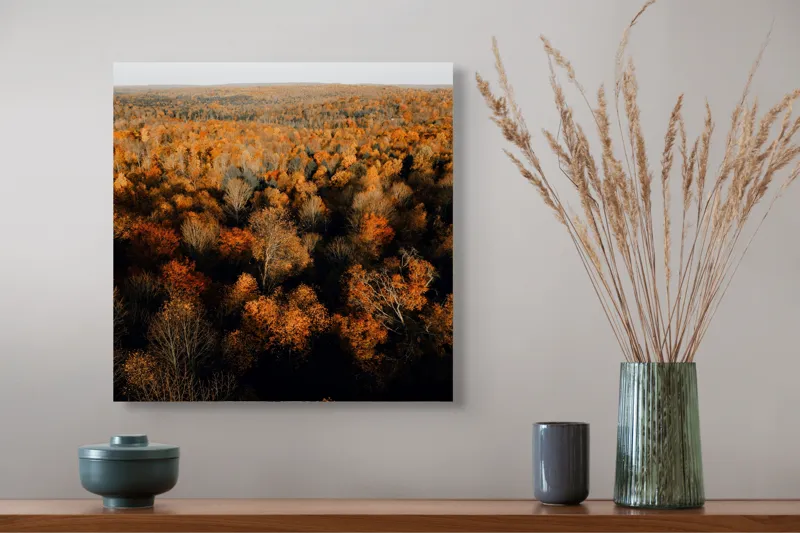 Tablou Canvas, "Pădurea în straie de toamnă", Toamnă, Pădure, Culori, Frunze, Arbori, Peisaj, Natură, Apus, Lumină, Umbră, 50 x 50 cm – poza 4