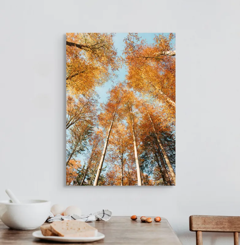 Tablou Canvas, "Încântătoarea simfonie a toamnei pădurii", Cer, Copaci, Frunze, Toamnă, Culori, Aranjament, Înălțime, Natură, Vârfuri, Aurii, 50 x 70 cm – poza 3