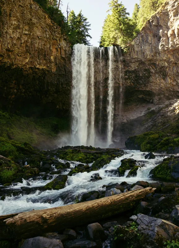 Tablou Canvas, "Cascada misterioasă din inima pădurii", Cascadă, Apă, Piatre, Copaci, Mușchi, Cer, Natură, Lumină, Pădure, Trunchi, 39 x 54 cm – poza 2