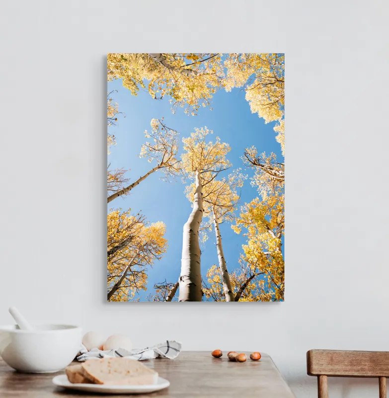 Tablou Canvas, "Dansul copacilor în lumină aurie", Regret, Natură, Serenitate, Înalt, Aur, Cer, Ramuri, Frunziș, Timp, Lumină, 50 x 70 cm – poza 3