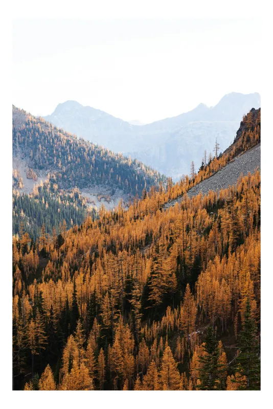 Tablou Canvas, "Toamna în munții îndepărtați ai naturii", Munți, Pădure, Toamnă, Aurii, Liniște, Natură, Vârfuri, Cer, Peisaj, Frumusețe, 26 x 39 cm