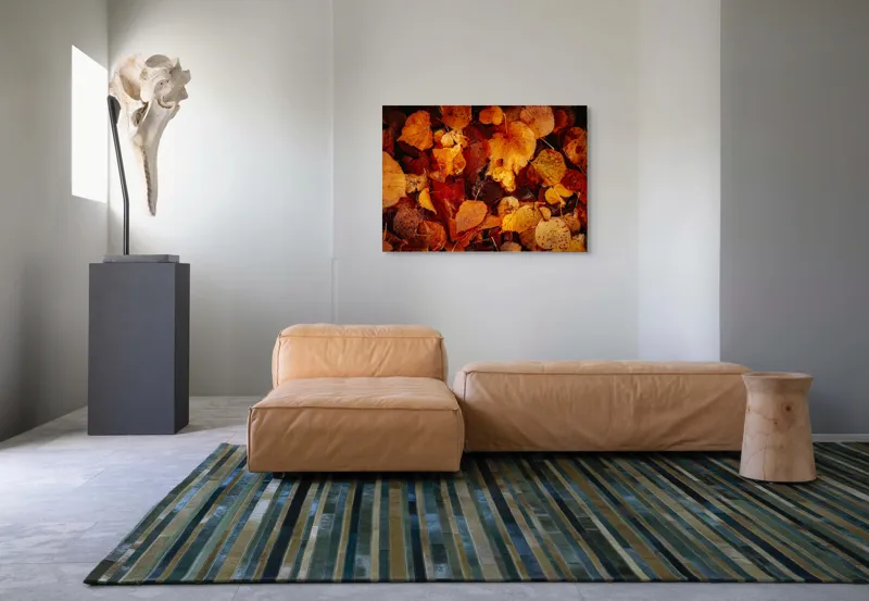 Tablou Canvas, "Covor de frunze arămii toamna", Frunze, Toamnă, Portocaliu, Galben, Textură, Natură, Căldură, Melancolie, Covor, Pământ, Umed, Organic, Sezon, Schimbare, Transformare, 100 x 70 cm – poza 7