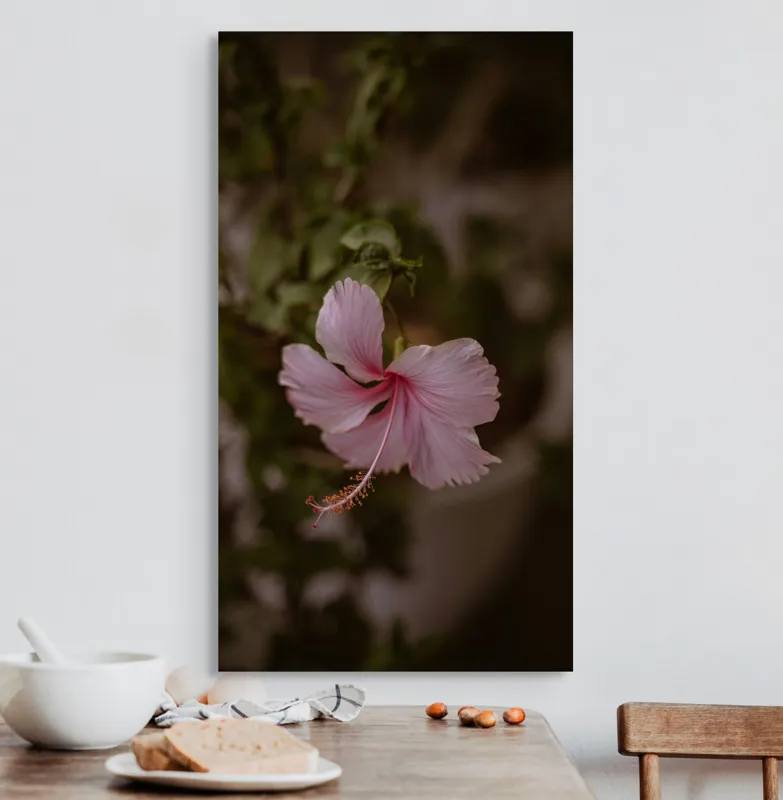 Tablou Canvas, "Floare delicată în amurg tomnatic", Frumusețe, Gingășie, Natură, Delicatețe, Eleganță, Roz, Petale, Contrast, Viu, Armonie, 50 x 90 cm – poza 3