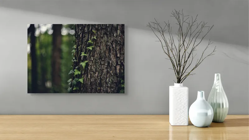 Tablou Canvas, "Iedera se împletește pe trunchi robust", Frunze, Iedera, Scoarță, Natură, Pădure, Verde, Trunchi, Viață, Umbre, Textură, 54 x 39 cm – poza 3