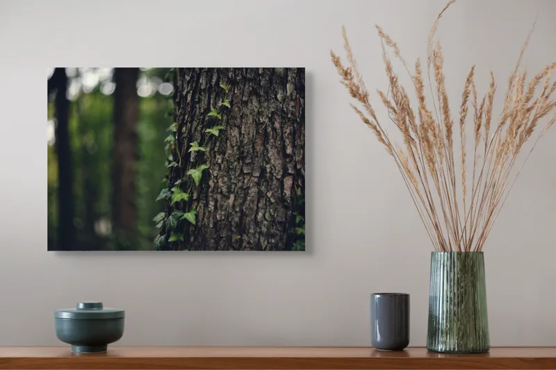 Tablou Canvas, "Iedera se împletește pe trunchi robust", Frunze, Iedera, Scoarță, Natură, Pădure, Verde, Trunchi, Viață, Umbre, Textură, 54 x 39 cm – poza 4