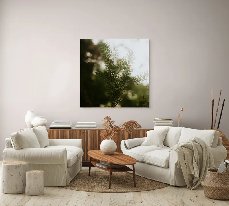 Tablou Canvas, "Brăduț în lumina dimineții", Copac, Crengi, Ace, Verde, Natură, Lumină, Blândă, Frunză, Moale, Pădure, 100 x 100 cm – poza 3