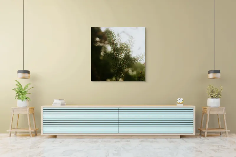 Tablou Canvas, "Brăduț în lumina dimineții", Copac, Crengi, Ace, Verde, Natură, Lumină, Blândă, Frunză, Moale, Pădure, 100 x 100 cm – poza 5