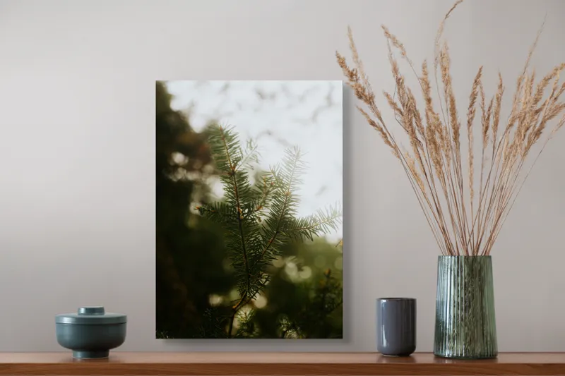 Tablou Canvas, "Brăduț în lumina dimineții", Copac, Crengi, Ace, Verde, Natură, Lumină, Blândă, Frunză, Moale, Pădure, 39 x 54 cm – poza 3