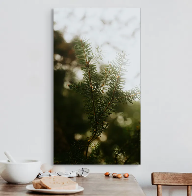 Tablou Canvas, "Brăduț în lumina dimineții", Copac, Crengi, Ace, Verde, Natură, Lumină, Blândă, Frunză, Moale, Pădure, 50 x 90 cm – poza 3